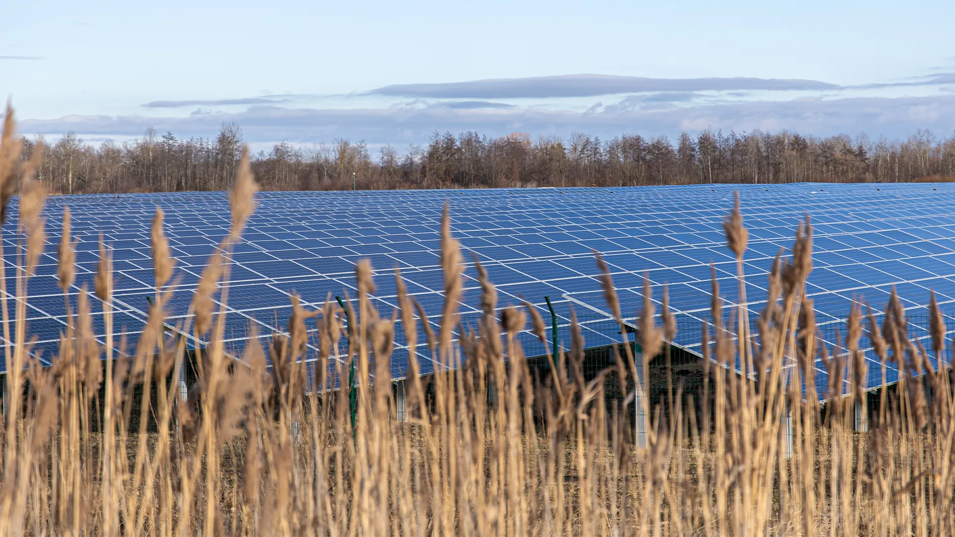 Panneaux solaires photovoltaïques dans un champ agricole en Bourgogne-Franche-Comté
