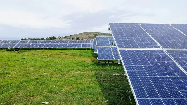 Panneaux solaires dans un champ d'entreprise