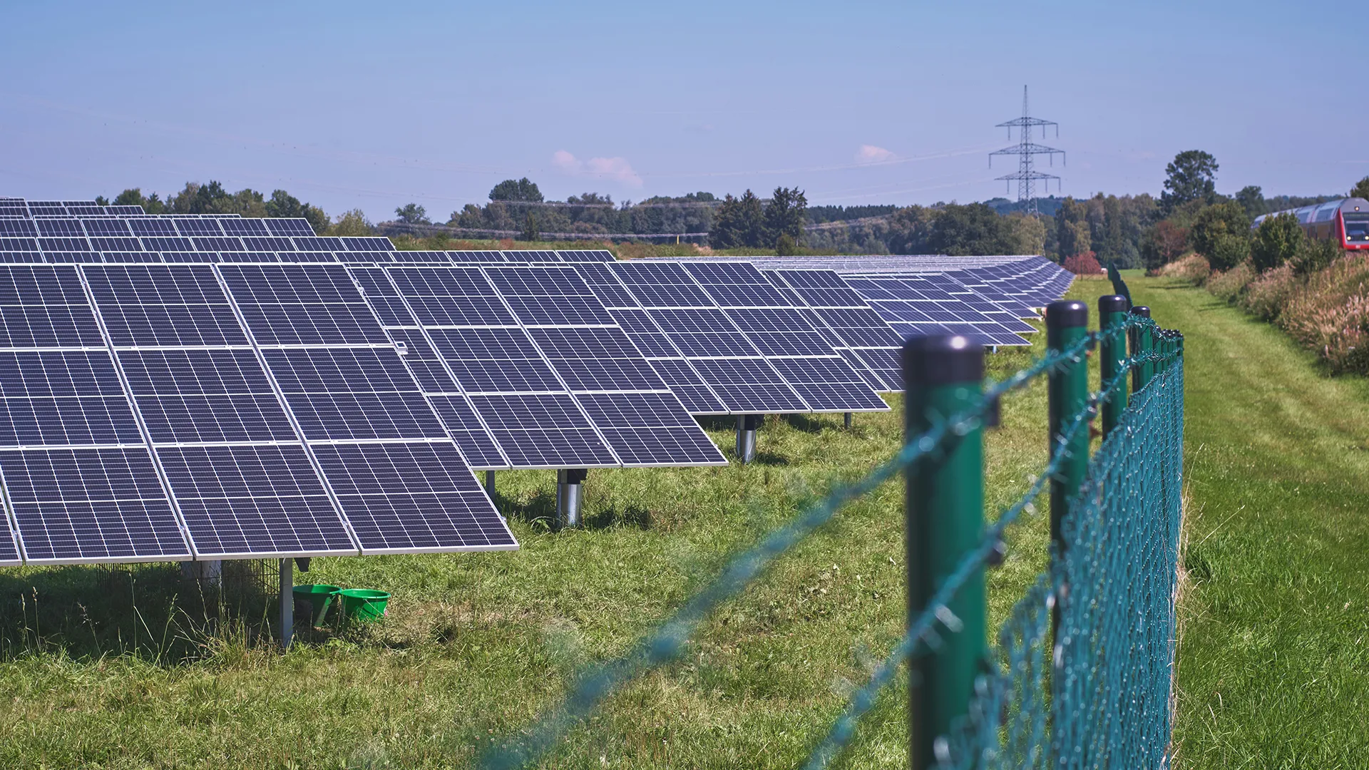 Panneaux solaires posés sur le sol qui captent la lumière