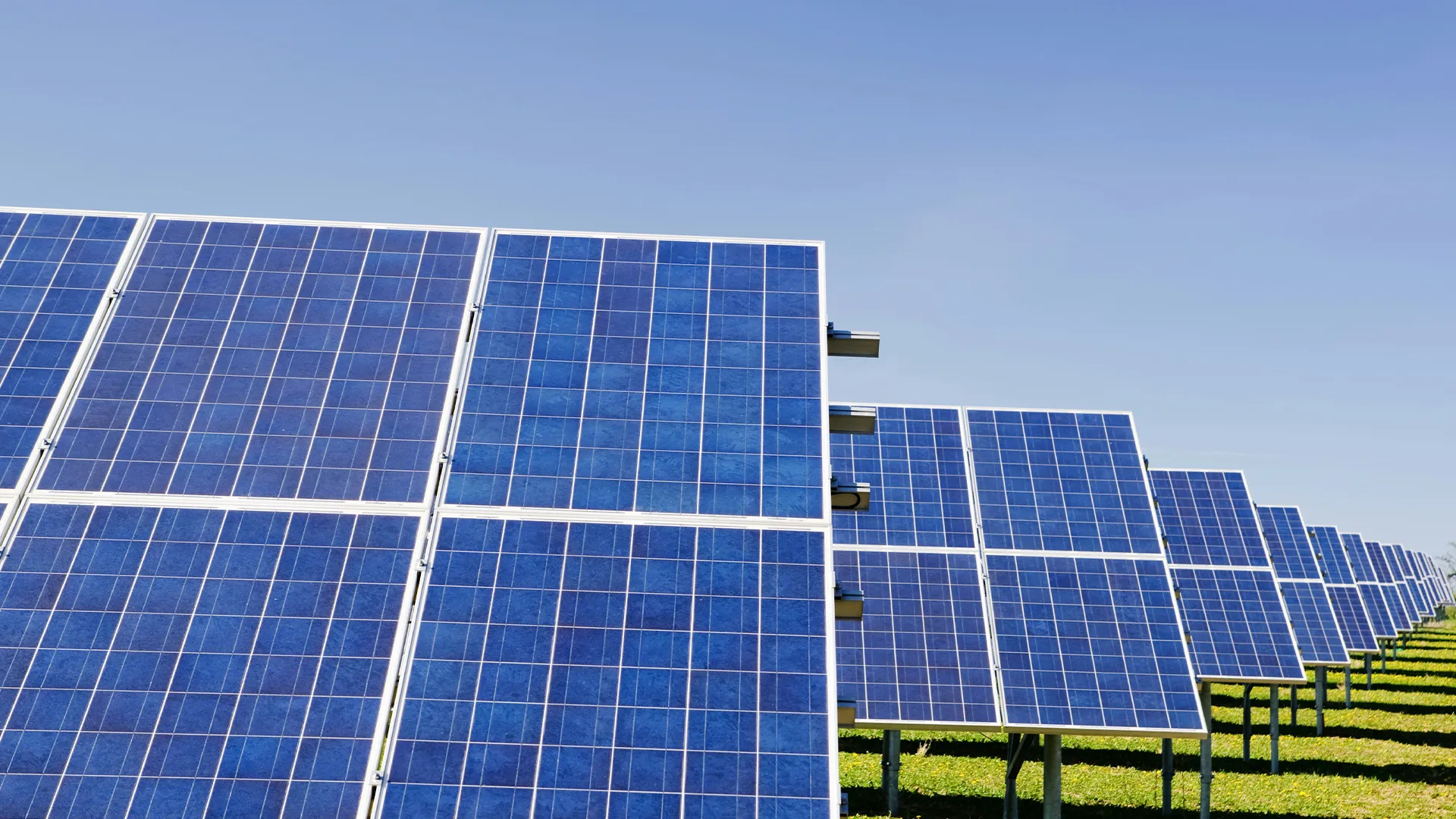 Grands panneaux solaires inclinés dans un champ